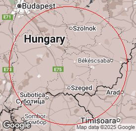 Egyéni vállalkozó (főállású) | Könyvelés | Csanytelek