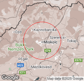 Egyéni vállalkozó (mellékállású) | Könyvelés | Miskolc