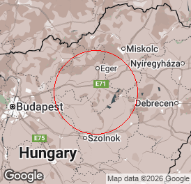 Egyéni vállalkozó (mellékállású) | Könyvelés | Tenk