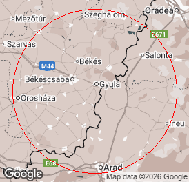 Kft | Könyvelés | Gyula