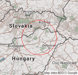 Korlátolt felelősségű társaság | Könyvelés | Miskolc