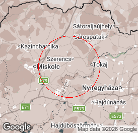 Egyéni cég | Könyvelés | Taktaszada