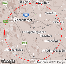 Kft | Könyvelés | Csongrád