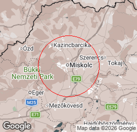 Bt. (betéti társaság) | Könyvelés | Miskolc