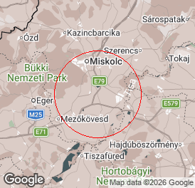 Egyéni vállalkozó (főállású) | Könyvelés | Hejőszalonta