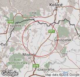 Egyéni vállalkozó | Könyvelés | Selyeb