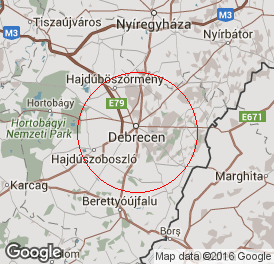 Korlátolt felelősségű társaság | Könyvelés | Debrecen