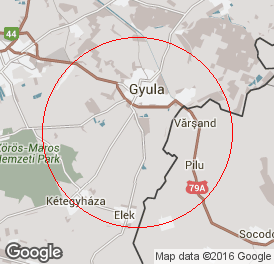 Korlátolt felelősségű társaság | Könyvelés | Gyula