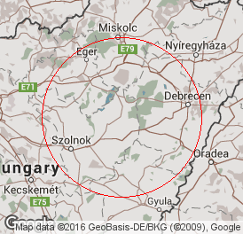 Korlátolt felelősségű társaság | Bérszámfejtés | Kunmadaras