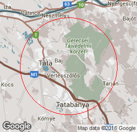 Egyéni vállalkozó | Könyvelés | Baj