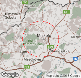 Korlátolt felelősségű társaság | Könyvelés | Miskolc