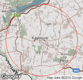 Korlátolt felelősségű társaság | Könyvelés | Kaposvár