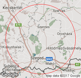 Kft | Könyvelés | Mindszent