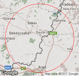 Kft | Könyvelés | Gyula