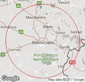 Egyéni vállalkozó (főállású) | Könyvelés | Békéscsaba