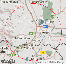 Egyéni vállalkozó (főállású) | Könyvelés | Domaszék