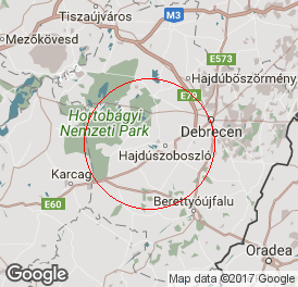 Egyéni vállalkozó (főállású) | Könyvelés | Hajdúszoboszló