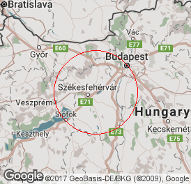 Kft | Könyvelés | Pákozd