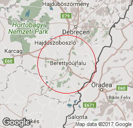 Egyéni vállalkozó (főállású) | Könyvelés | Berettyóújfalu