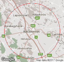 Egyéni vállalkozó (főállású) | Könyvelés | Kecskemét